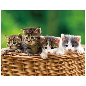 3D koelkast magneetje kittens in mandje