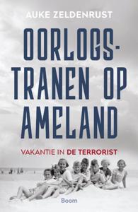 Oorlogstranen op Ameland (Paperback)