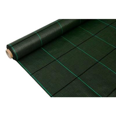 Anti-wiernetten Fun&Go 2 x 25 m Groen 100 g/m²