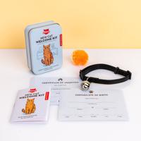 New Cat Welcome Kit - thumbnail