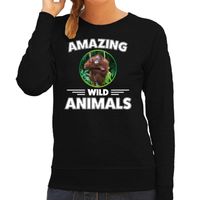 Sweater orang oetan apen amazing wild animals / dieren trui zwart voor dames 2XL  - - thumbnail