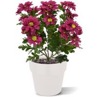 Chrysant kunstboeket 35 cm burgundy