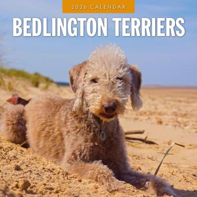 Bedlington Terrier Kalender 2026