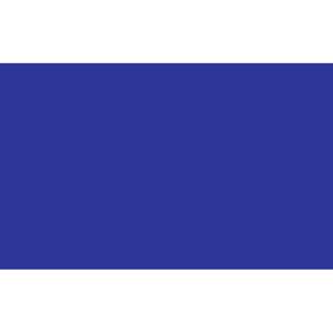 Kleuren thema vlag - blauw - 150 x 90 cm - polyester