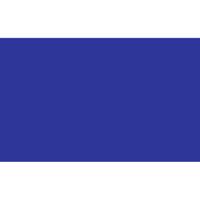 Kleuren thema vlag - blauw - 150 x 90 cm - polyester