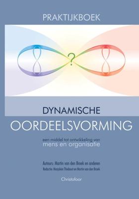 Praktijkboek dynamische oordeelsvorming (Hardback)