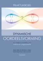 Praktijkboek dynamische oordeelsvorming (Hardback)