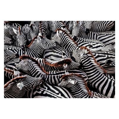 Clementoni legpuzzel national geographics - zebra, 1000st.