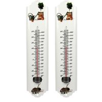 Set van 2x metalen thermometer voor buiten en binnen 30 cm - thumbnail