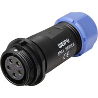Weipu SP2111 / S 5C II Ronde connector Bus, recht Totaal aantal polen: 5 Serie (ronde connectoren): SP21 1 stuk(s)