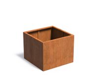 Cortenstaal plantenbak CARREZ zonder bodem 100x100x80cm.