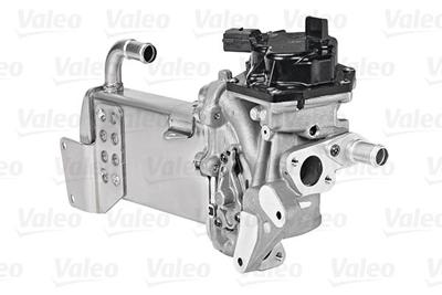 EGR Klep 700436