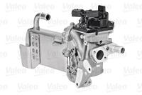 EGR Klep 700436