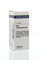 VSM Rhus toxicodendron D12 (10 gr)