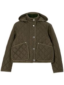 Burberry veste matelassée à capuche - Vert