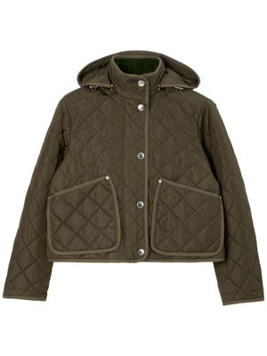 Burberry veste matelassée à capuche - Vert