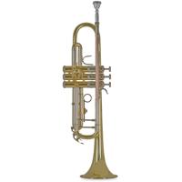 Vincent Bach TR501 Bb trompet 122.24 mm (gelakt) met tas