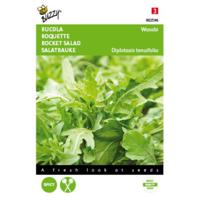 5 stuks Rucola Wasabi Tuinplus - thumbnail