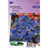 Viola Cornuta Hybrida zaden Admiration viooltje - thumbnail