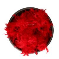 Boa met LED verlichting - Rood - 180 cm - Veren verkleed boa van 50 grams - met batterijen Boa met LED verlichting - Rood - 180 cm - Veren verkleed boa van 50 grams - met batterijen