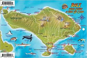 Waterkaart Fish Card Bali Dive Guide & Fish ID Card / Indonesian Coral Reef Creatures | Franko Maps
