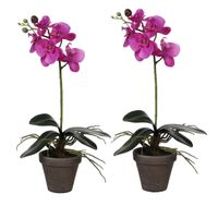 2x stuks phalaenopsis Orchidee kunstplanten paars in grijze pot H48 x D13 cm - thumbnail