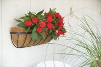 Hanging basket smeedijzer zwart H16,5x61x16cm - Nature