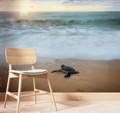 Dieren fotobehang Schildpad aan de kust