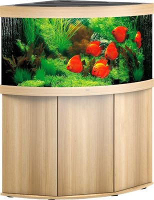 Juwel aquarium Trigon 350 LED met filter licht eiken - Gebr de boon