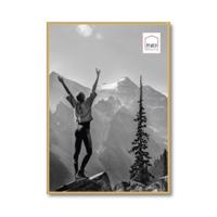 Haes Deco Kunststof Fotolijst EF8G Easy Frame Goud 50x70 cm