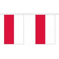 Luxe Polen vlaggenlijn 9 m