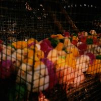 Grounders - CD (0823674025427) - thumbnail