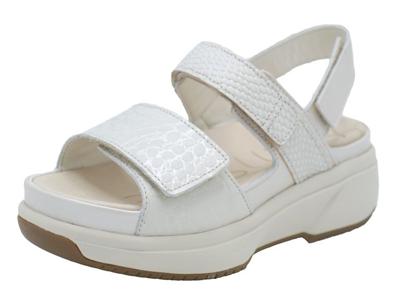 Xsensible Aruba Xsensible Aruba