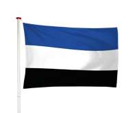 Vlag 's-Gravenpolder