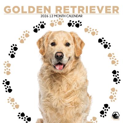 Golden Retriever Kalender 2026