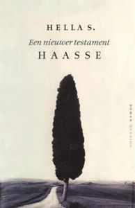 Een nieuwer testament - Hella S. Haasse - ebook