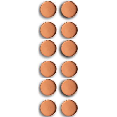 Zeller Whiteboard Magneten - extra sterk - 12x - rose goud - 2 cm - koelkast magneet