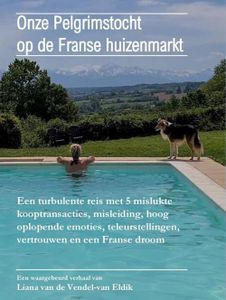Onze Pelgrimstocht op de Franse huizenmarkt - Liana Van de Vendel-van Eldik - ebook