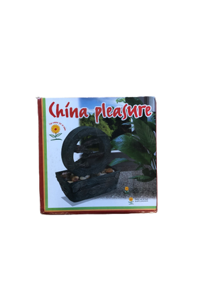 China Pleasure
