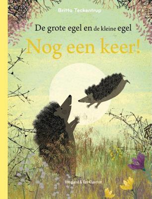 Nog een keer (Hardback)