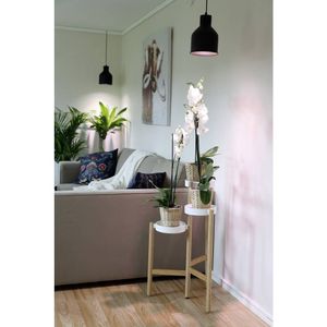 Venso EcoSolutions Indoor Plants energy-saving lamp Neutraal wit 18 W E27