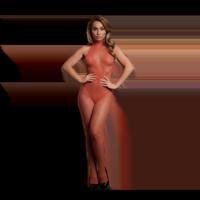 Le Désir by Shots Visnet en kant bodystocking - Eén maat