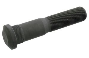 Wielbout 106432