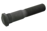 Wielbout 106432