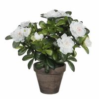 Groene Azalea kunstplant witte bloemen 27 cm in pot stan grey   -