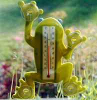 Esschert Design TH49 insteekthermometer - thumbnail