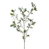 Emerald Kunstbloem Eucalyptus tak - 90 cm - groen   -