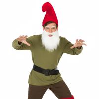 Kabouter set - baard - wit - puntmuts - rood - carnaval - verkleden