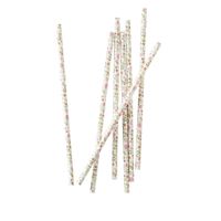 Rietjes Floral Ditsy (25st) Rietjes Floral Ditsy (25st)