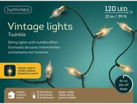 Led vintagelight 12 meter 120 LED groen/klassiek warm Lumineo - Lumineo